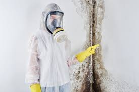 Best Commercial Mold Inspection  in Quail Ridge, FL